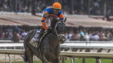 Irad Ortiz Jr. buscará hacer ganar por primera vez un hijo de Into Mischief que costó $675.000
