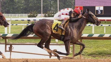 Jockey puertorriqueño gana su primera carrera del meeting con un batacazo de $100 en Estados Unidos