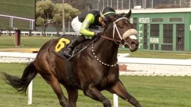 Jockey panameño gana el primer Stakes de su carrera en Estados Unidos 