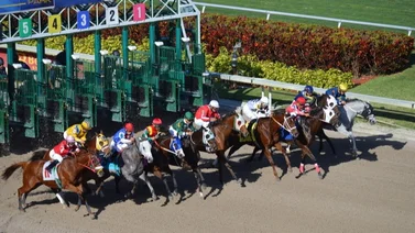 Estos son los ejemplares retirados para hoy 26 de julio en Gulfstream Park