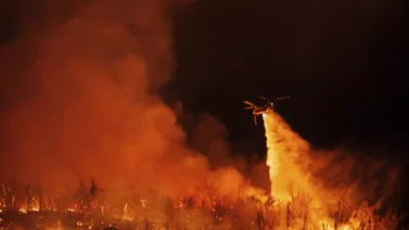 EEUU: Esto es lo que se conoce sobre los incendios en California (+Video)