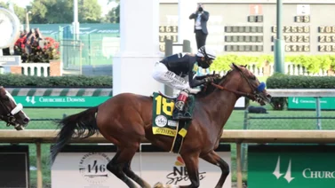  Debuta hijo de un semental ganador del Haskell, el Kentucky Derby y la Breeder’s Cup Classic