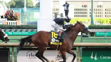 Debuta hijo de un semental ganador del Haskell, el Kentucky Derby y la Breeder’s Cup Classic Debuta hijo de un semental ganador del Haskell, el Kentucky Derby y la Breeder’s Cup Classic