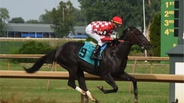 Potro que costó $1.200.000 hace su debut mañana en el hipódromo de Saratoga