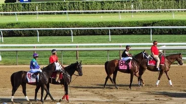 Yunta: Pletcher-Ortiz Jr. hará debutar en Saratoga un hijo de Quality Road que costó $725.000