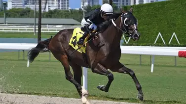 Emisael Jaramillo con Hat Trick este viernes en Gulfstream Park Emisael Jaramillo con Hat Trick este viernes en Gulfstream Park