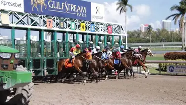 Yunta venezolana gana este viernes en Gulfstream Park Yunta venezolana gana este viernes en Gulfstream Park