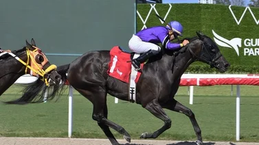 Edgar “Tendón” Pérez repite victoria con Talkin Tipsy en Gulfstream Park