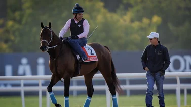 Caballo que más dinero ha generado en el mundo en 2024 es montado por un venezolano