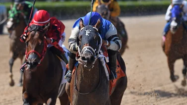 Datos de última hora para la jornada del 27/7/2024 en Gulfstream Park