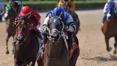 Datos de última hora para la jornada del 27/7/2024 en Gulfstream Park Datos de última hora para la jornada del 27/7/2024 en Gulfstream Park