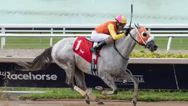 Cipriano Gil le gana tremenda carrera a Emisael Jaramillo en Gulfstream Park (+video) Cipriano Gil le gana tremenda carrera a Emisael Jaramillo en Gulfstream Park (+video)