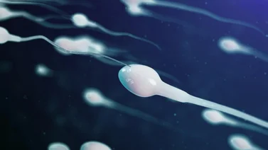 5 Datos curiosos sobre el semen que quizás no conocías