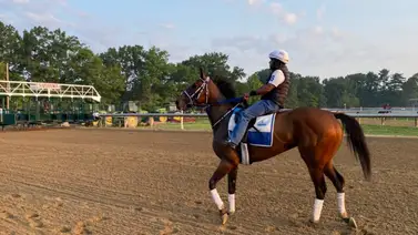 Thorpedo Anna intentará acabar con una sequía que tiene más de 100 años Thorpedo Anna intentará acabar con una sequía que tiene más de 100 años