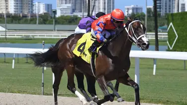 Datos de última hora para Gulfstream Park 28/7/2024 Datos de última hora para Gulfstream Park 28/7/2024