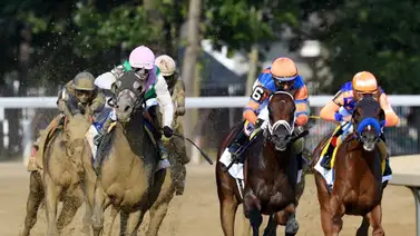 Mira lo que dijo el jinete de Fierceness sobre Sierra Leone Mira lo que dijo el jinete de Fierceness sobre Sierra Leone