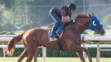 John Velázquez con batacazo millonario el domingo en Saratoga