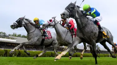 13 Stakes de Grado en 4 hipódromos esta semana en Estados Unidos 13 Stakes de Grado en 4 hipódromos esta semana en Estados Unidos