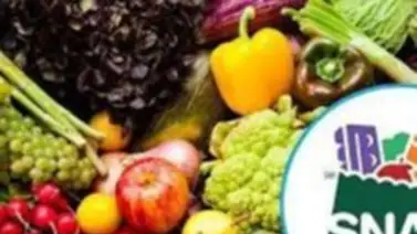 EEUU: Así será la distribución de cupones SNAP en Florida durante el mes de agosto EEUU: Así será la distribución de cupones SNAP en Florida durante el mes de agosto