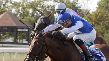 Hermanos Camacho se lucen en la jornada dominical en Estados Unidos Hermanos Camacho se lucen en la jornada dominical en Estados Unidos