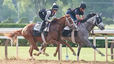 Javier Castellano con la semana full y tres Stakes en la mira en Saratoga Javier Castellano con la semana full y tres Stakes en la mira en Saratoga