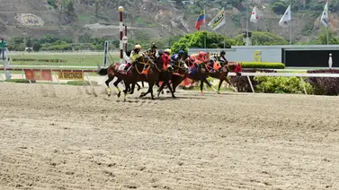 Ocho ejemplares por la gloria del República Bolivariana de Venezuela Ocho ejemplares por la gloria del República Bolivariana de Venezuela