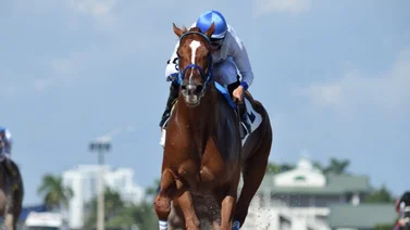 Entrenador venezolano buscará hacer historia este sábado en Saratoga en este Stakes