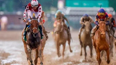 Tres campeones van a encontrarse en el Travers Stakes (G1) de Saratoga