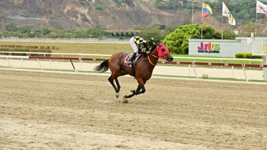Ping Pong por la conquista de la milla del Clásico Guardia Nacional Bolivariana
