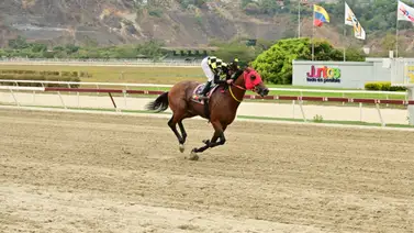Ping Pong por la conquista de la milla del Clásico Guardia Nacional Bolivariana Ping Pong por la conquista de la milla del Clásico Guardia Nacional Bolivariana