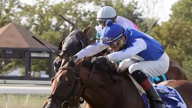 Mychel Sánchez celebra premio con importante cantidad de victorias Mychel Sánchez celebra premio con importante cantidad de victorias