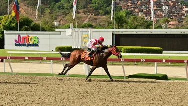 Gloriossus retorna a la acción en La Rinconada para el Clásico My Own Business