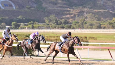 Cinco potras en búsqueda del Clásico Simón Rodríguez Grado II este domingo en La Rinconada