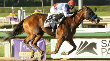 Baffert asoma una carta de última hora para el Travers Stakes (G1) de Saratoga Baffert asoma una carta de última hora para el Travers Stakes (G1) de Saratoga