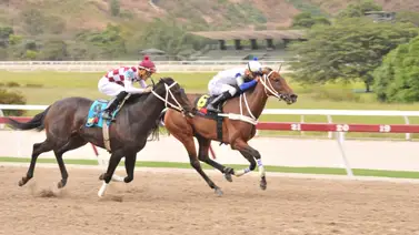 Reaparece en La Rinconada nieto de Taconeo luego de 112 días sin participar en pruebas públicas Reaparece en La Rinconada nieto de Taconeo luego de 112 días sin participar en pruebas públicas