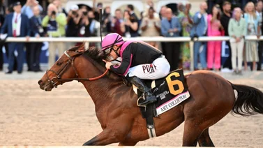 Junior Alvarado participará en estos Stakes a correrse en Saratoga