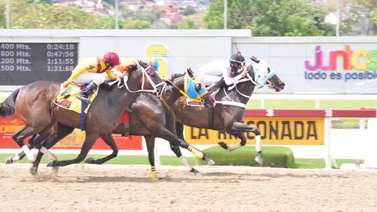 Yegua que puede sorprender en el 5y6 reaparece este domingo en La Rinconada