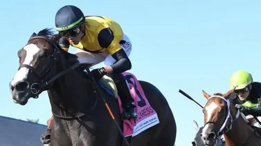 Estos son los nueve Stakes que montará Irad Ortiz Jr. esta semana en Saratoga