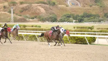 Nieto de Tapit reaparece en La Rinconada luego de 231 sin correr Nieto de Tapit reaparece en La Rinconada luego de 231 sin correr