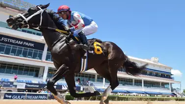 Emisael Jaramillo buscará acercarse al liderato del meeting en Gulfstream Park con estas montas Emisael Jaramillo buscará acercarse al liderato del meeting en Gulfstream Park con estas montas