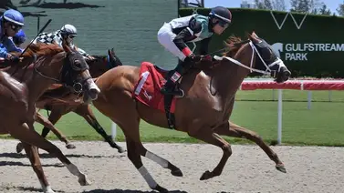 Mira la increíble cantidad de montas que lleva Cipriano Gil esta semana en Gulfstream Park Mira la increíble cantidad de montas que lleva Cipriano Gil esta semana en Gulfstream Park