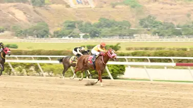 Yegua que en sus anteriores fue favorita reaparece en lote parejo en La Rinconada con 203 días de descanso Yegua que en sus anteriores fue favorita reaparece en lote parejo en La Rinconada con 203 días de descanso