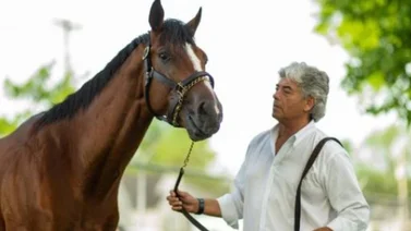Potro de $1.300.000 que entrena Gustavo Delgado debuta con Javier Castellano 