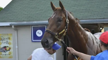 Jockey venezolano va en busca del West Virginia Derby de $500.000