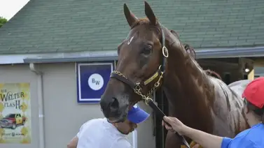 Jockey venezolano va en busca del West Virginia Derby de $500.000 Jockey venezolano va en busca del West Virginia Derby de $500.000