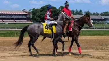 La NYRA y Churchill Downs no llegan a acuerdo para uso de sus plataformas La NYRA y Churchill Downs no llegan a acuerdo para uso de sus plataformas