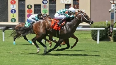 Caballo más rápido del mundo reaparece el sábado en este Stakes en Saratoga