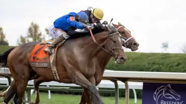 Junior Alvarado montará tresañero en Saratoga que costó $925.000 Junior Alvarado montará tresañero en Saratoga que costó $925.000