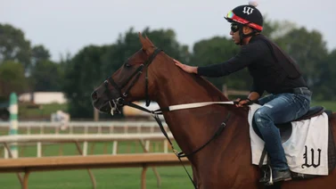 5 jockeys boricuas van por 5 stakes que suman $1.450.000 en este hipódromo