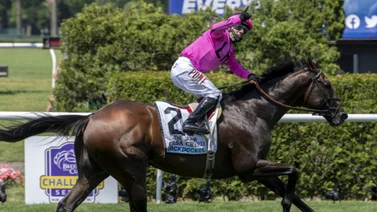 Retirado múltiple ganador de Graded Stakes en Estados Unidos